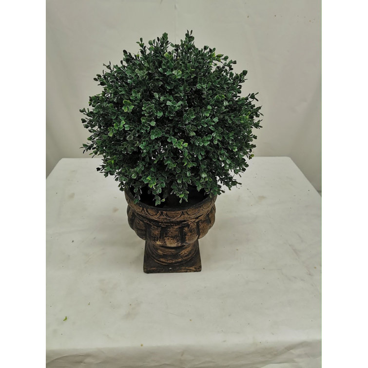 Primrue Faux Boxwood Topiary Wayfair